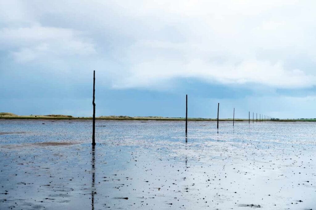 Wooden marker poles guiding the path across reflective tidal mudflats on the Pilgrims Way to Holy Island