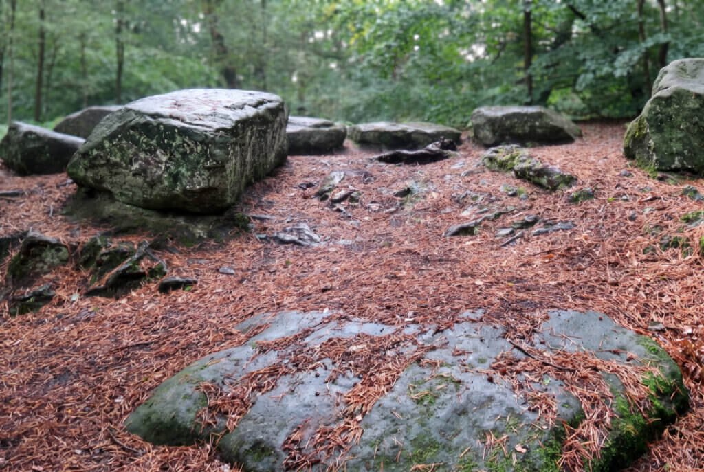 Ancient stone circle surrounded by fallen pine needles at Alderley Edge.
