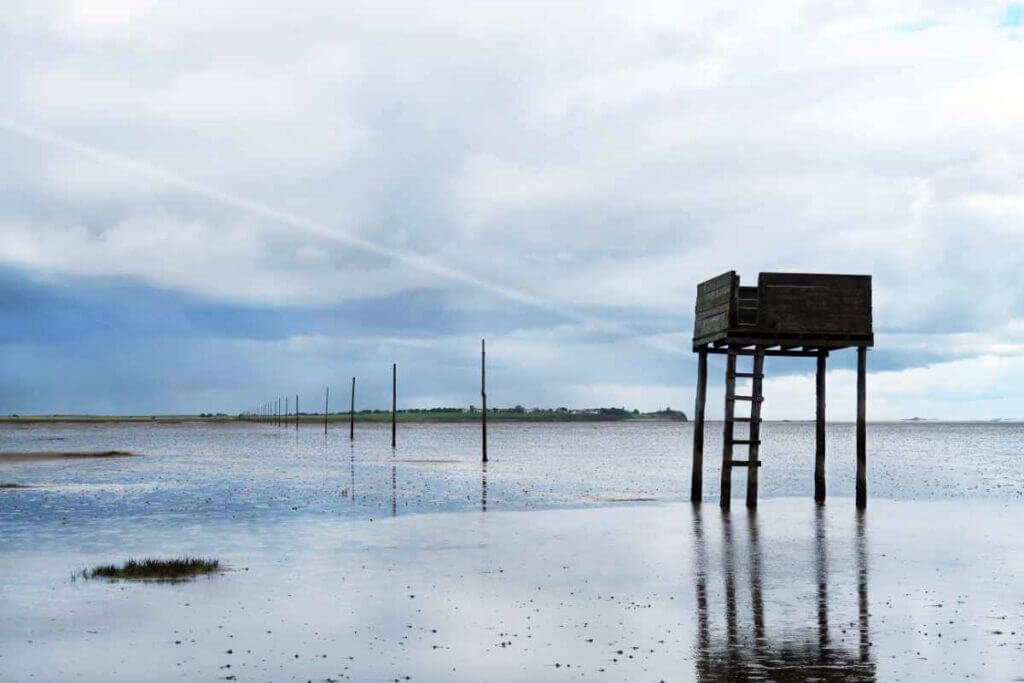 The historic wooden refuge box on stilts standing beside marker poles on the Pilgrims Way to Holy Island