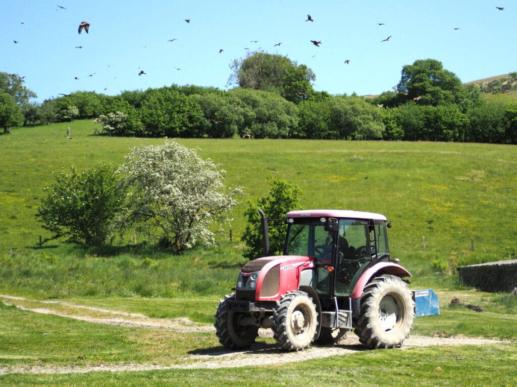 A red tractor parked on a dirt track in a green grassy field with wild red kites circling in the blue sky above the trees.